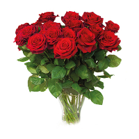 Lillian Synnøve Tørressen